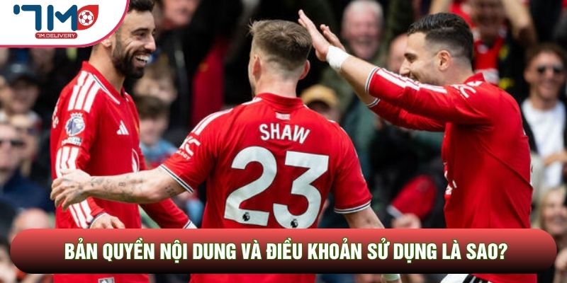 Bản quyền nội dung và điều khoản sử dụng là sao? Bản quyền nội dung và điều khoản sử dụng là sao?