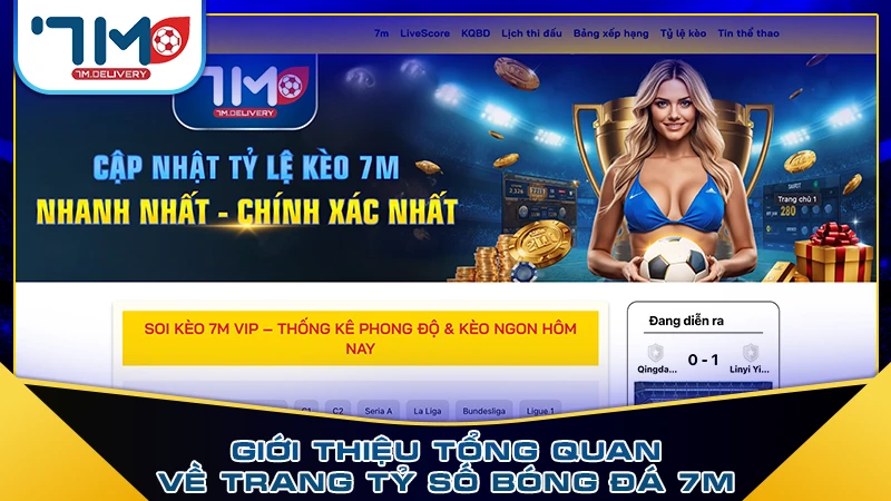 Giới thiệu tổng quan về trang tỷ số bóng đá 7M Giới thiệu tổng quan về trang tỷ số bóng đá 7M