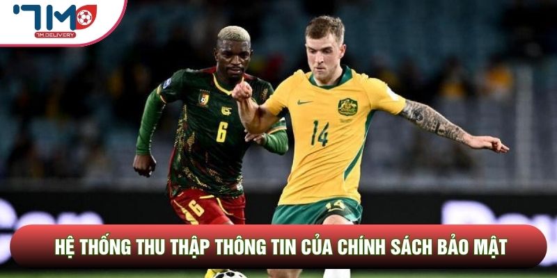 Hệ thống thu thập thông tin của chính sách bảo mật