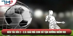 Kèo Tài Xỉu 2 - 2.5: Giải Mã Con Số Tận Hưởng Niềm Vui