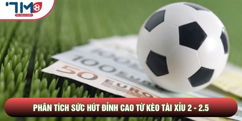 Khi bạn đầu tư vào cửa Tài trong kèo tài xỉu 2 – 2.5, bạn sẽ thu về lợi nhuận tối đa nếu trận đấu kết thúc với từ ba pha lập công trở lên. Trường hợp trận đấu chỉ xuất hiện đúng hai bàn thắng, người chọn cửa Tài sẽ phải chấp nhận mất đi một nửa số tiền cược của mình. Sự phân tầng kết quả này tạo nên sức hút mãnh liệt cho những ai yêu thích thử thách tư duy phân tích.