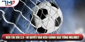 Kèo Tài Xỉu 2.5 - Bí Quyết Vào Kèo Chính Xác Từng Milimet