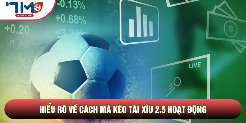 Khi lựa chọn cửa Tài trong kèo tài xỉu 2.5, bạn sẽ giành chiến thắng nếu trận đấu kết thúc với từ ba bàn thắng trở lên được ghi. Ngược lại, cửa Xỉu sẽ mang lại lợi nhuận cho người chơi khi tổng số pha làm bàn dừng lại ở mức từ hai trở xuống. Sự phân định rạch ròi này giúp cho cuộc chơi trở nên kịch tính và đòi hỏi sự quyết đoán cao từ thành viên.