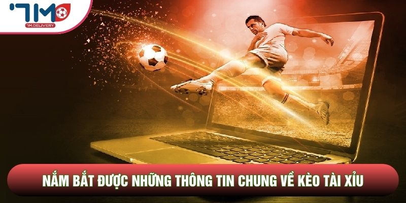 Các trang cung cấp dữ liệu luôn niêm yết kèo tài xỉu từ rất sớm với những tỷ lệ cược vô cùng hấp dẫn và cạnh tranh trên thị trường. Bạn có thể tự do lựa chọn các mốc số từ thấp đến cao tùy thuộc vào nhận định cá nhân về tính chất của từng cặp đấu. Tính minh bạch và chính xác của thông tin luôn được hệ thống đặt lên hàng đầu nhằm tạo ra một môi trường trải nghiệm công bằng.