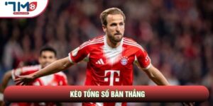 Kèo Tổng Số Bàn Thắng | Nghệ Thuật Đọc Vị Bảng Điện Tử